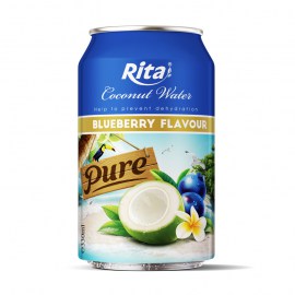 1253074360-Rita coconut blueberry-rita-